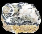 Cerussite Crystals with Bladed Barite on Galena- Morocco #44781-1
